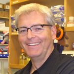 Dirk Schnappinger