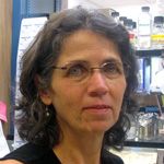 Dr. Beate Schwer